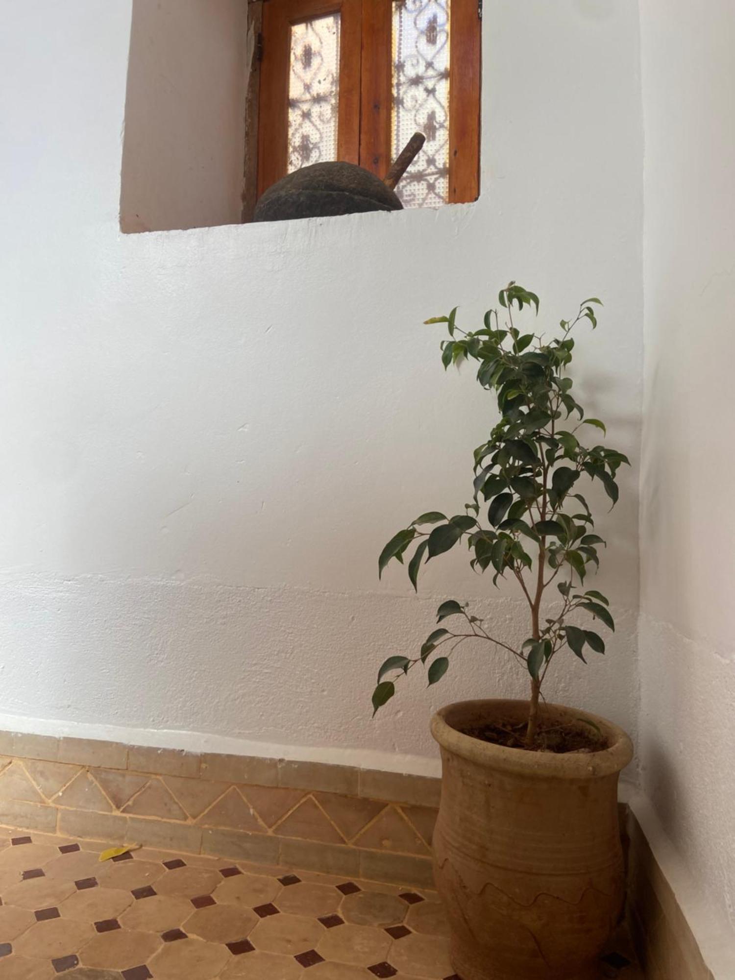 Tafsut Dades Guesthouse Stay With Locals Tamellalt  Ngoại thất bức ảnh